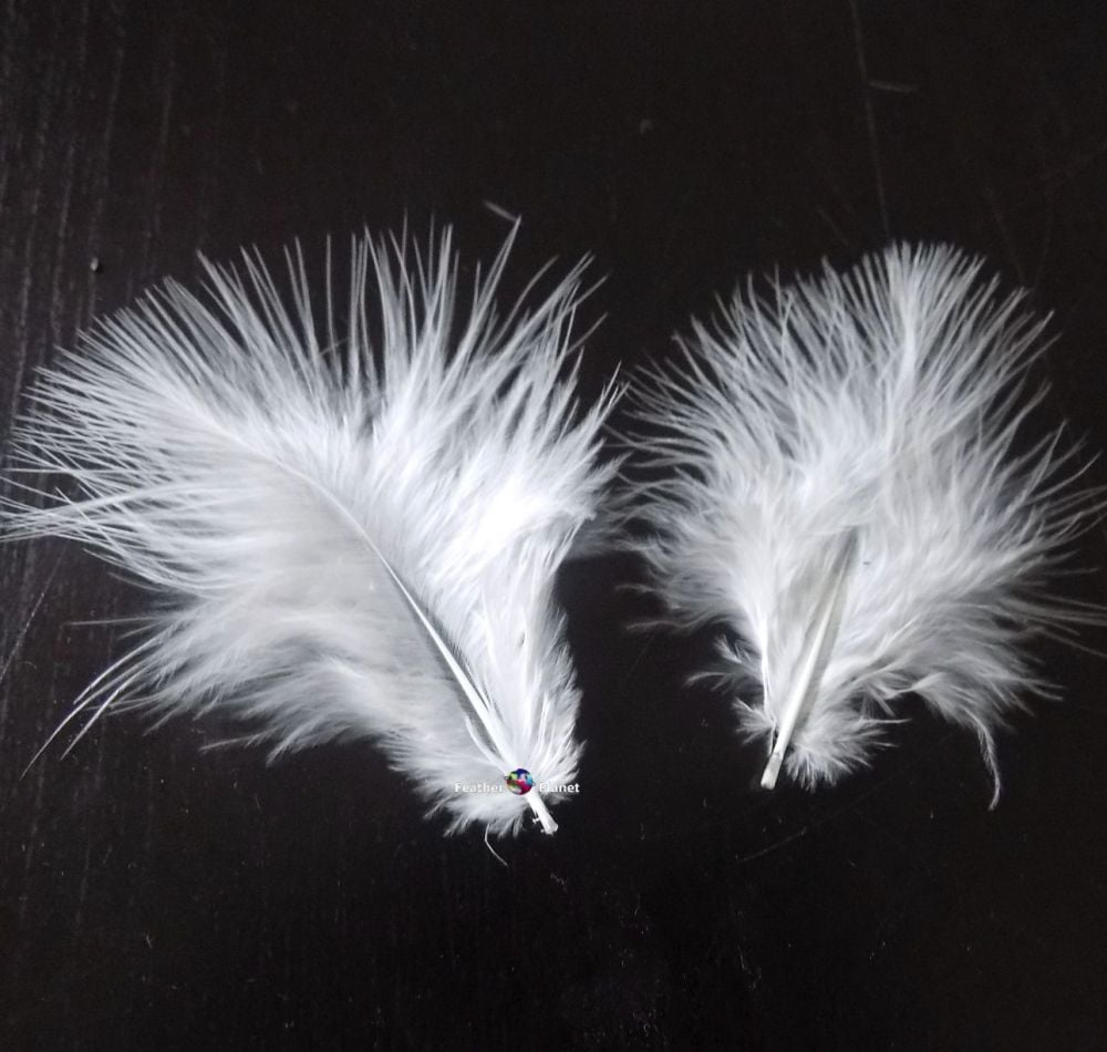 White Marabou Feathers - Small