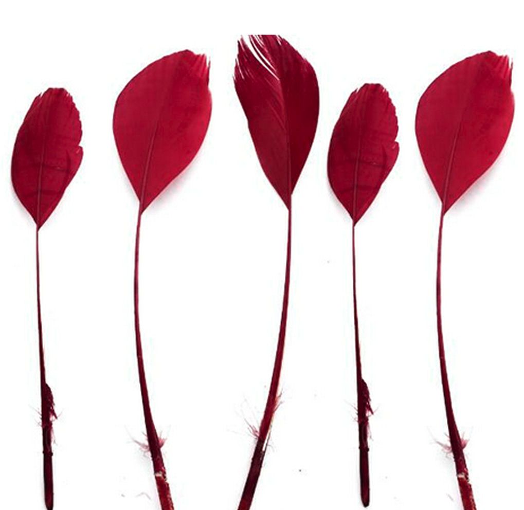 Red Wine Feathers Stripped Coque Style