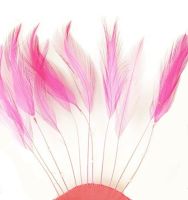 Pink Orient Rooster Feathers Hackles Stripped x 10