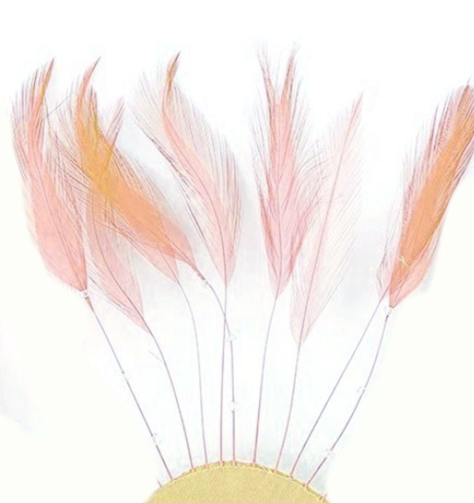 Peach Rooster Feathers Hackles Stripped x 10