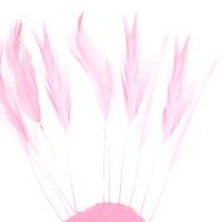 Baby Pink Rooster Feathers Hackles Stripped x 10