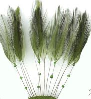 Moss Green Rooster Feathers Hackles Stripped x 8