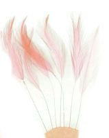 Dusky Pink Rooster Feathers Hackles Stripped x 10