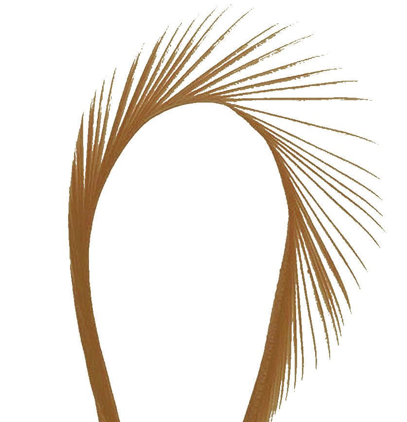Light Brown Goose Biot Feather 