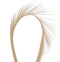 Beige Goose Biot Feather 