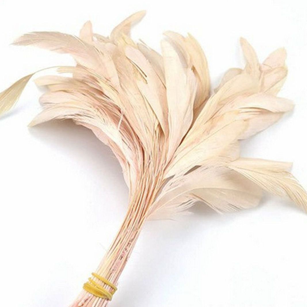 Nude Natural Stripped Coque Tail Rooster Feathers x 6