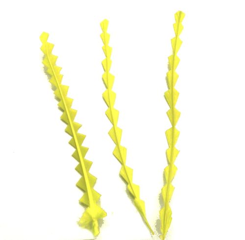 Yellow Stripped Zig Zag Feathers x 3
