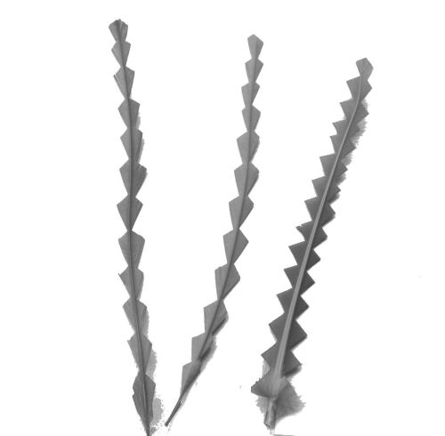 Silver Stripped Zig Zag Feathers x 3