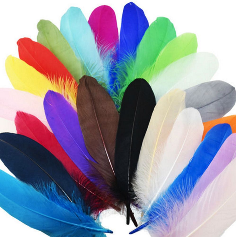 Goose Quill Feathers 6 to 7 inch