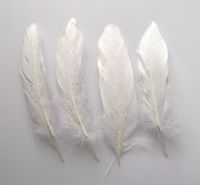 White Goose Quill Feathers with Gold Glitter