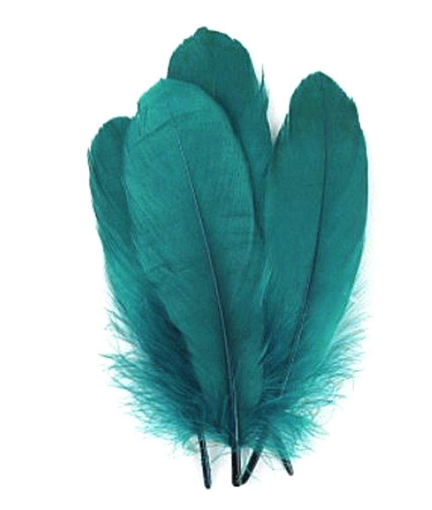 Peacock Teal Parried Goose Pallette Feathers x 5