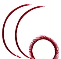 Red Wine Goose Biot Feather 