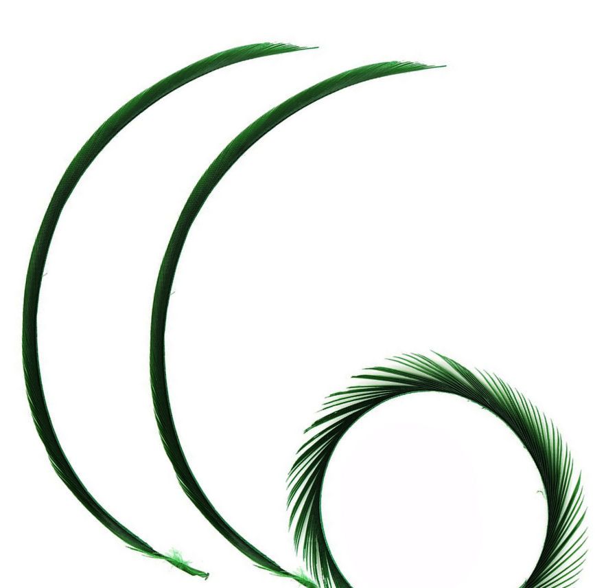 Dark Green Goose Biot Feather 