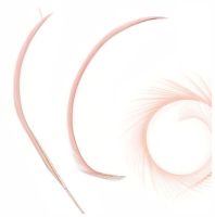 Dusky Pink Goose Biot Feather 