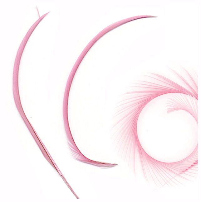 Light Pink Goose Biot Feather x 1