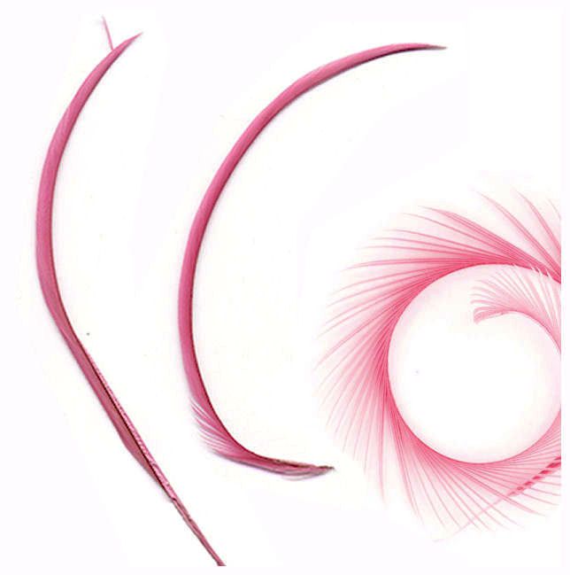 Strawberry Pink Goose Biot Feather 