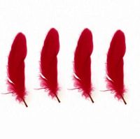 Goose Satinette Feathers in Red x 10