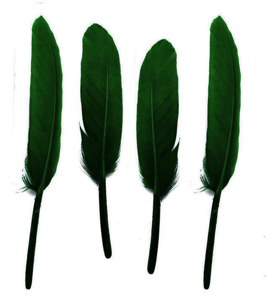 Hunter Green Goose Quill Feathers x 10