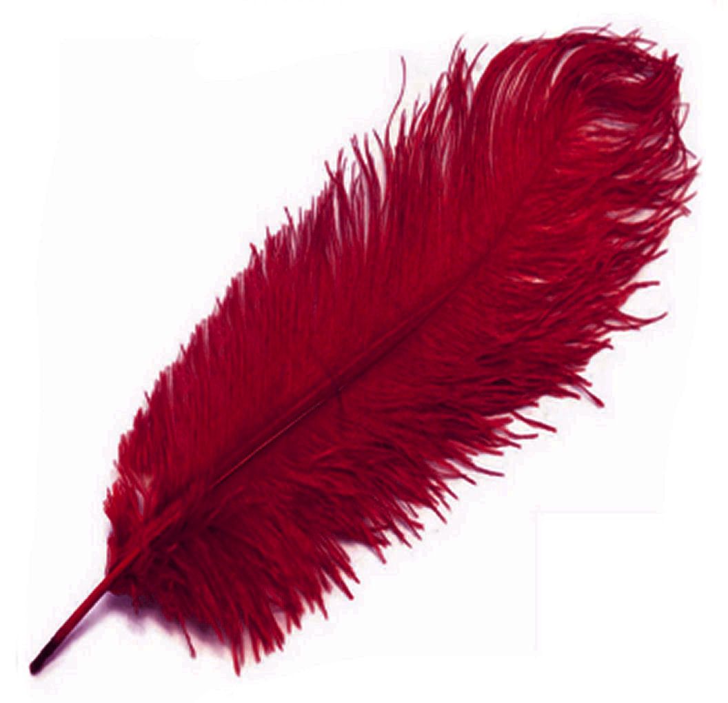 Red Wine Ostrich Feather