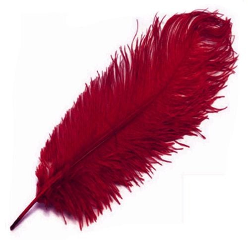 red ostrich feathers