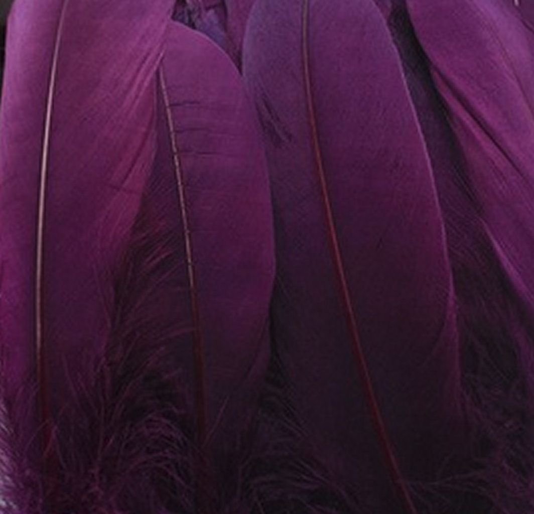 Plum Purple Goose Quill Feathers x 4