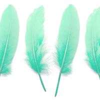 Mint Green Goose Quill Feathers x 4 