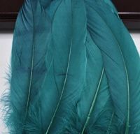 Teal Green Goose Quill Feathers x 4 