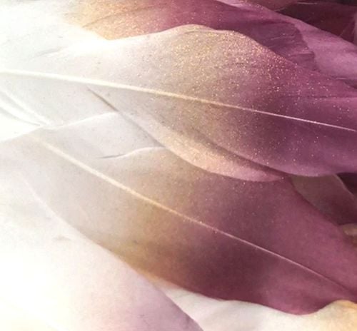 Two Tone Glitter Goose Quill Feathers x 5