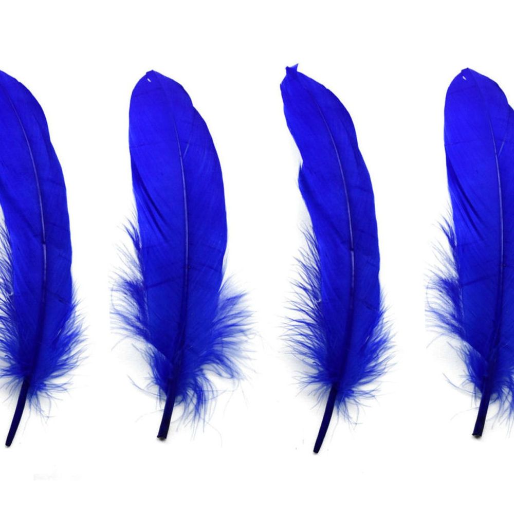 Royal Blue Goose Quill Feathers x 4 