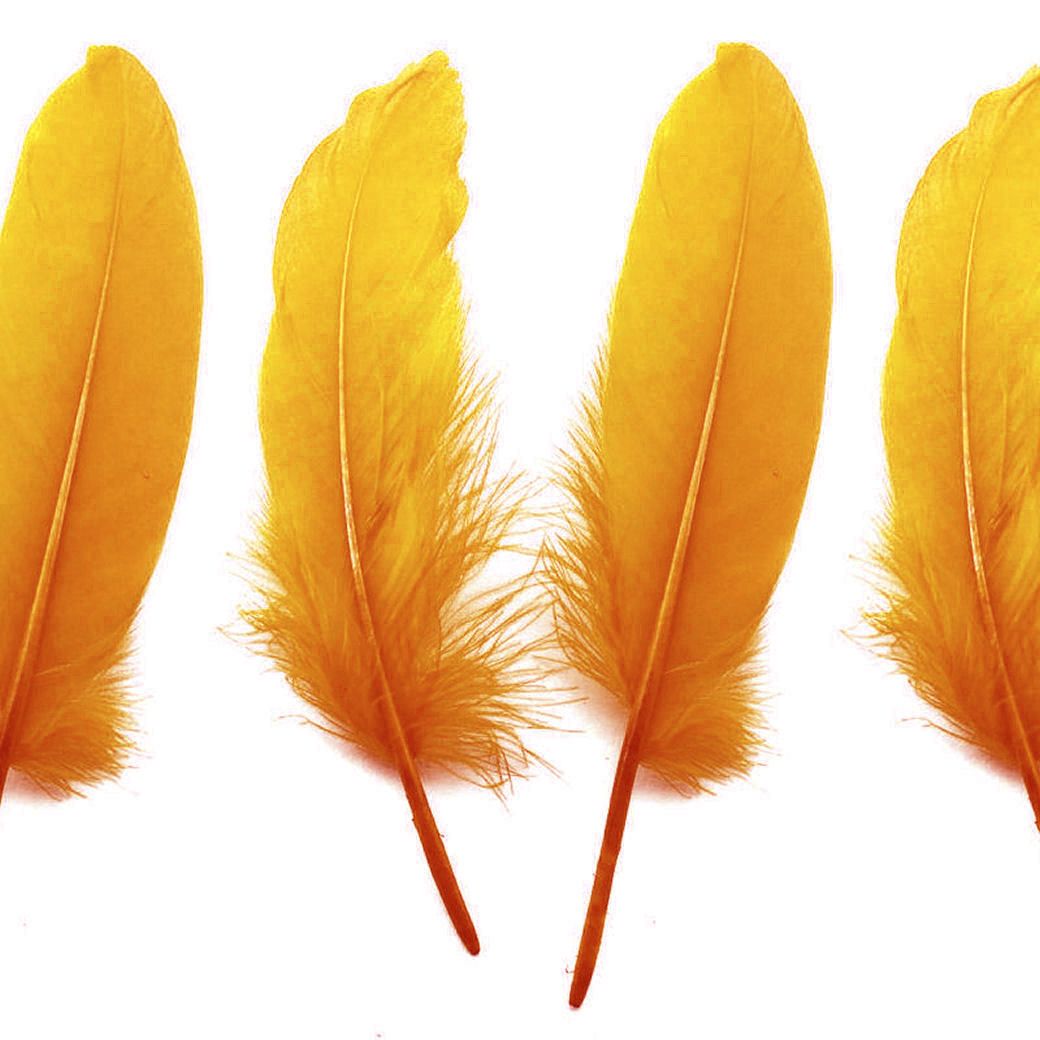 Golden Yellow Goose Quill Feathers x 4