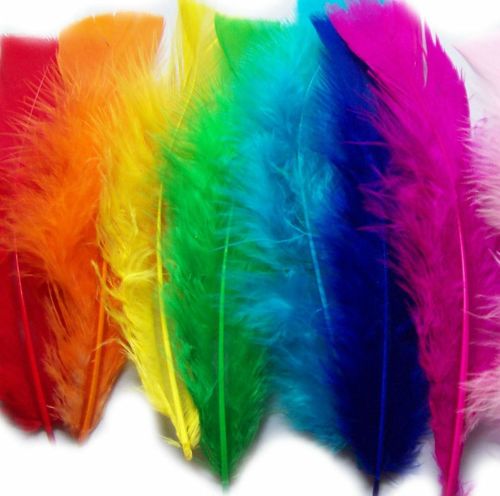 Assorted Shades Turkey Feathers Flats