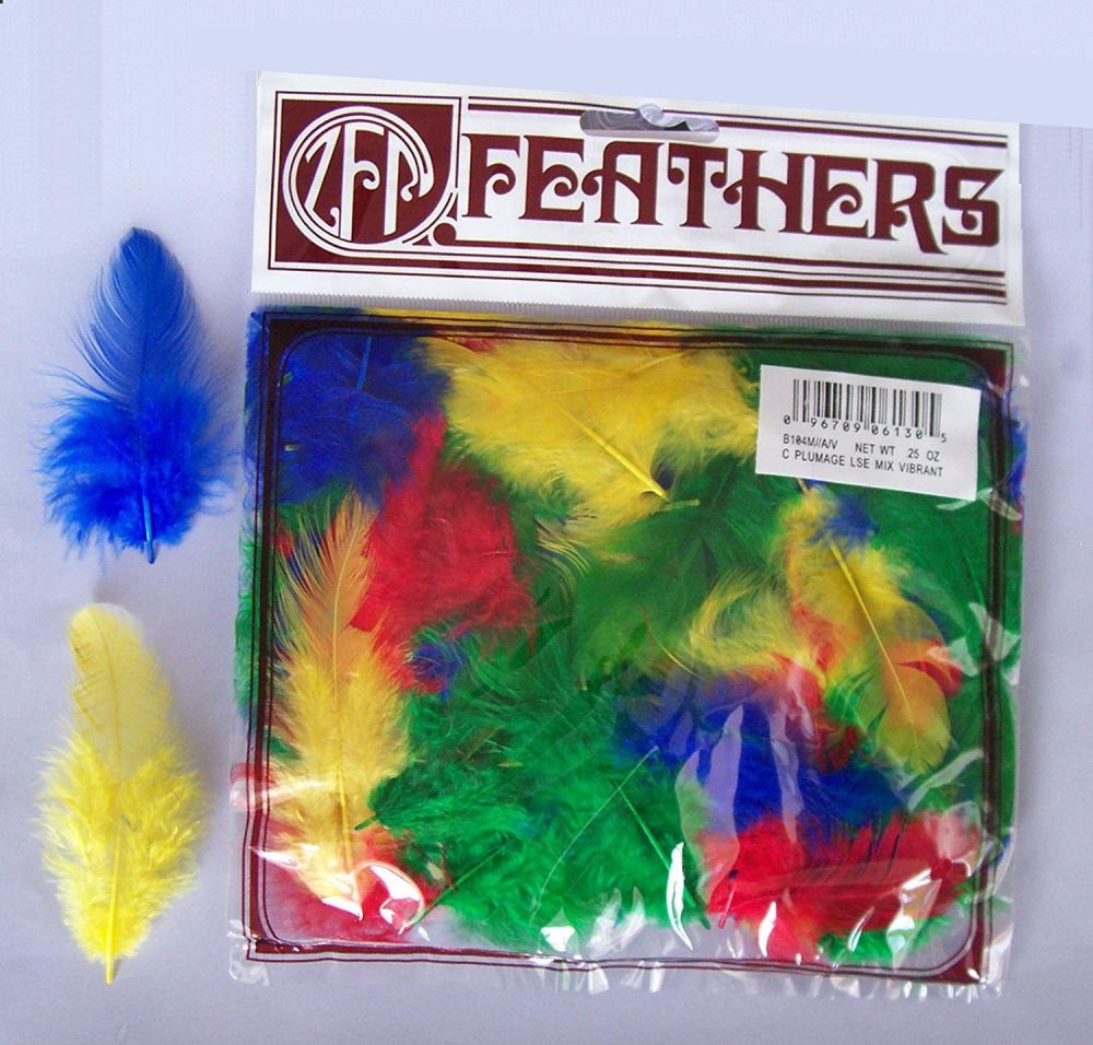 Rooster Plumage Bright Feathers 