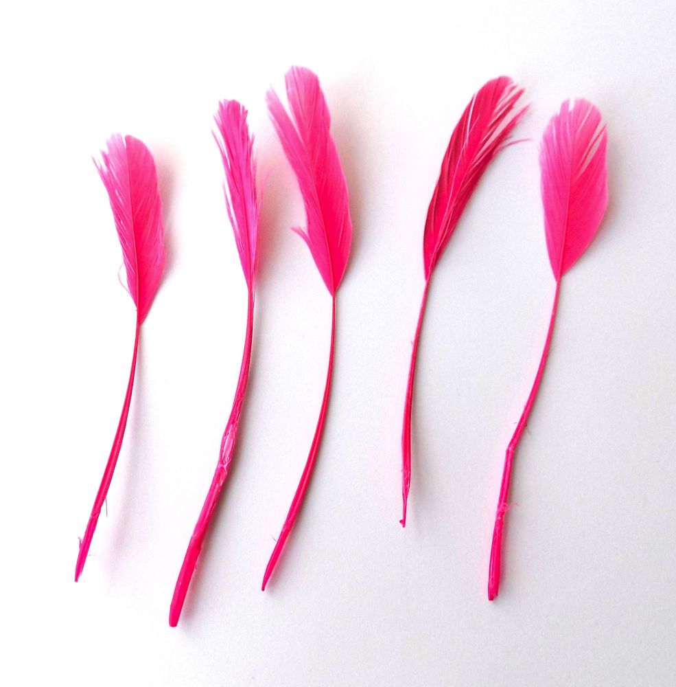 Pink Flamingo Rooster Coque Tails Stripped x 5 
