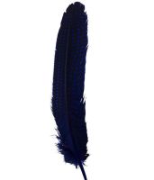Royal Blue Guinea Fowl Wing Quill Feather 