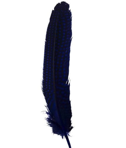 Royal Blue Guinea Fowl Wing Quill Feather