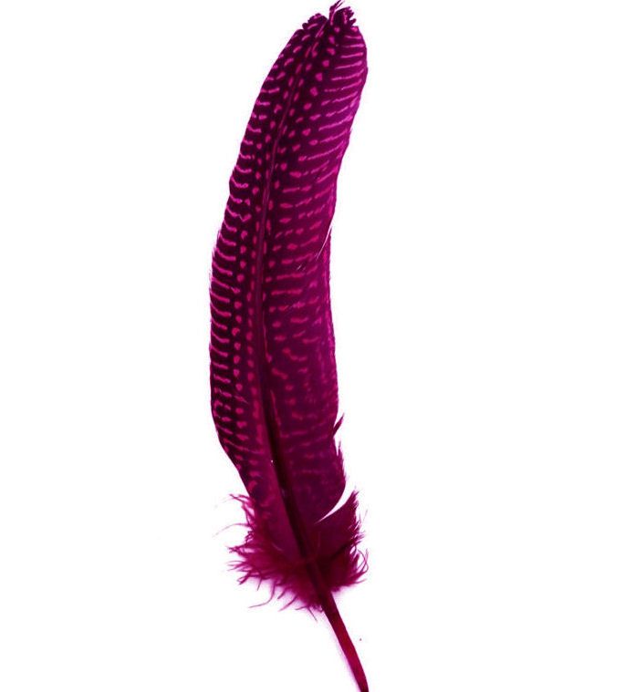 Dark Pink Guinea Fowl Wing Quill Feather