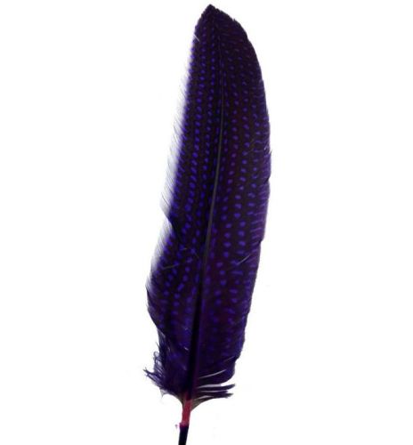 Purple Guinea Fowl Wing Quill Feather