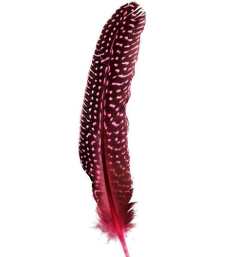 Candy Pink Guinea Fowl Wing Quill Feather