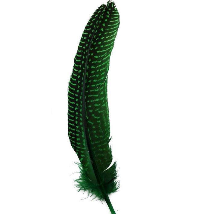 Green Guinea Fowl Wing Quill Feather 
