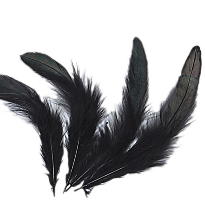 Black Rooster Schlappen Half Bronze Feathers