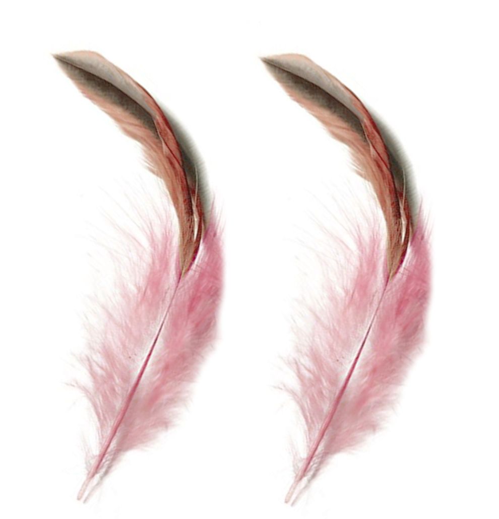 Pale Pink Rooster Schlappen Half Bronze Feathers