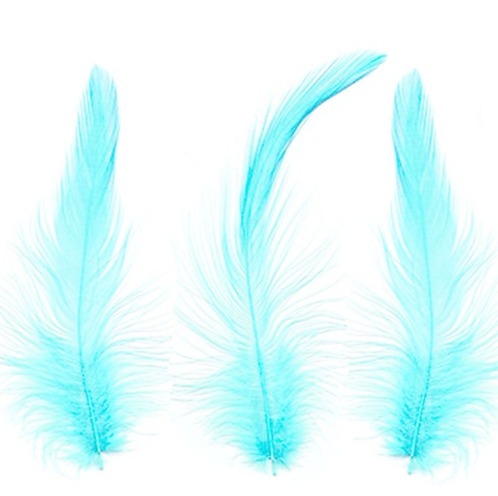 Light Turquoise Hackle Feathers x 10