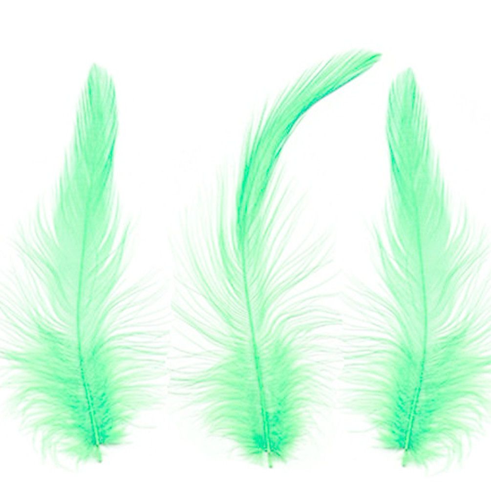Green Hackle Feathers x 10
