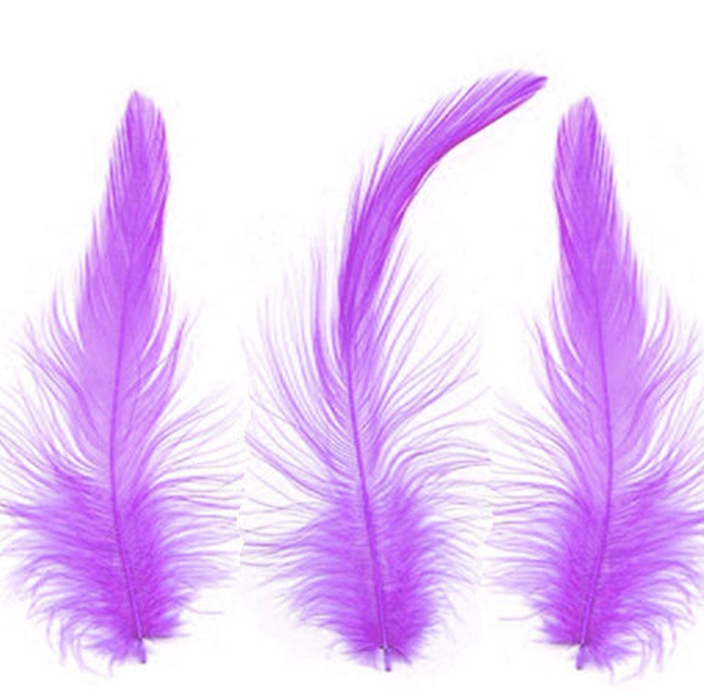 Purple Hackle Feathers x 10