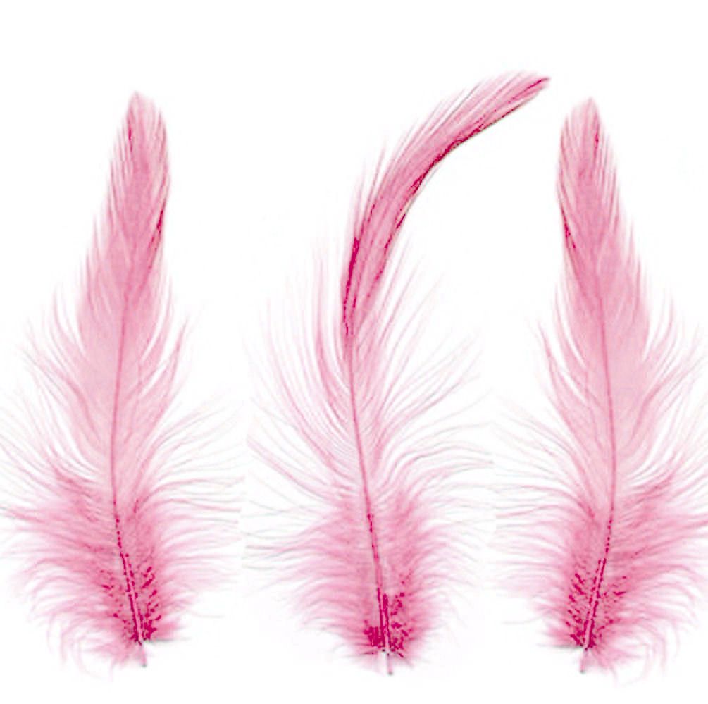 Pink Hackle Feathers x 10
