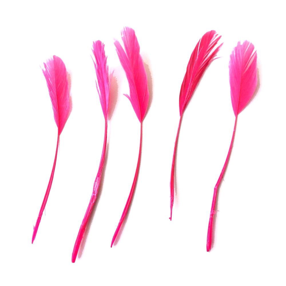 Flamingo Pink Rooster Coque Tails Stripped x 5