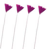Fuchsia Narrow Stripped Turkey Feathers x 6