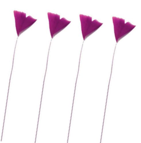 Fuchsia Stripped Turkey Feathers x 6