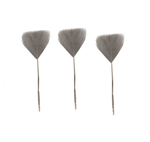 Silver Stripped Turkey Feathers - Short x 5