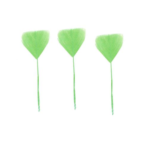 Pale Green Stripped Turkey Feathers - Short x 5